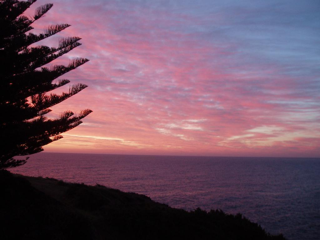 Bed and Breakfast Sea Whispers Kiama Exterior foto