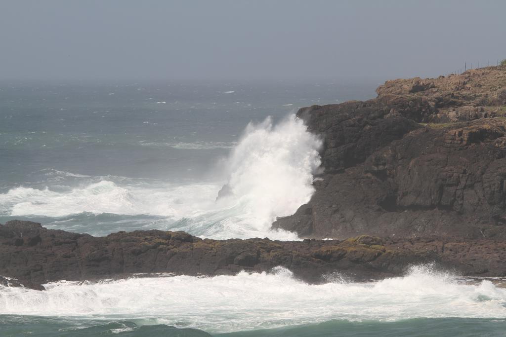 Bed and Breakfast Sea Whispers Kiama Exterior foto
